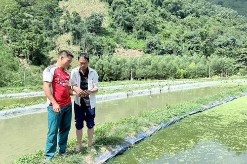 Hùng Lợi mở lối thoát nghèo