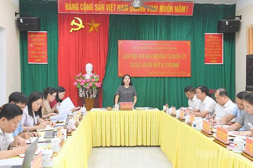 Đoàn kiểm tra, giám sát của Ban Thường vụ Tỉnh ủy làm việc với Ban Thường vụ Đảng ủy các xã