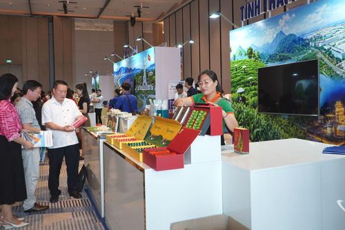 Thúc đẩy kết nối giao thương giữa TP. Hồ Chí Minh với các tỉnh phía Bắc và Bắc Trung Bộ