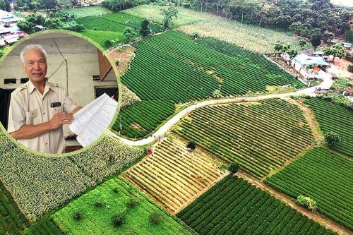 Gỡ 'nút thắt' đất nông, lâm trường (kỳ 1)