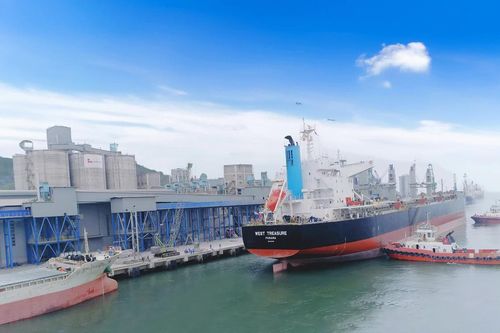 Công bố mở cầu cảng số 10 bến cảng Long Sơn, tiếp nhận tàu tới 20.000 DWT giảm tải