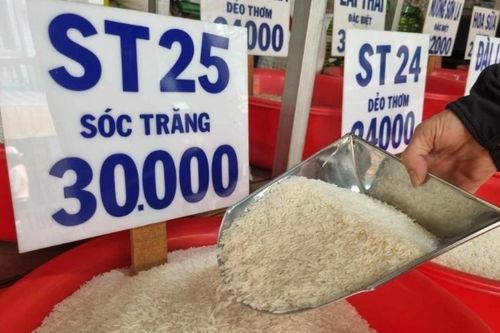 Ngày 8/9: Giá một số loại gạo nguyên liệu xuất khẩu giảm, lúa ổn định