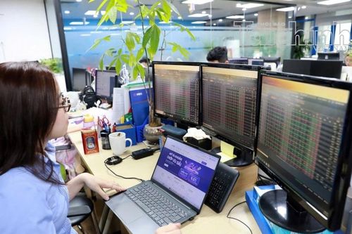 Chứng khoán ngày 8/9: VN-Index hồi phục, dòng tiền tìm đến nhóm dầu khí