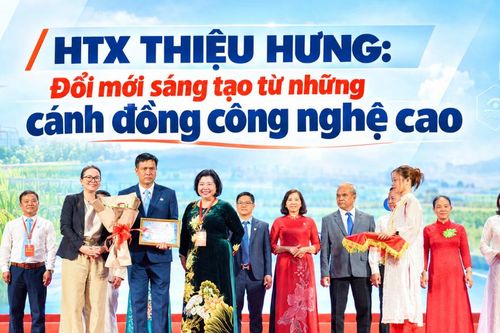 HTX Thiệu Hưng: Đổi mới sáng tạo từ những cánh đồng công nghệ cao