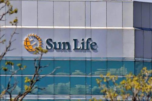 Sun Life Việt Nam vẫn lỗ khi lợi nhuận mảng bảo hiểm không đủ bù chi phí