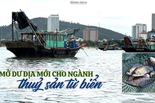 Mở dư địa mới cho ngành thuỷ sản từ nuôi biển