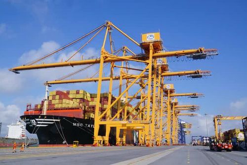 Ba cảng biển của Việt Nam giữ vị thế trên bảng xếp hạng thế giới