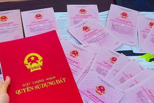 Cảnh báo tình trạng ủy quyền môi giới làm sổ đỏ