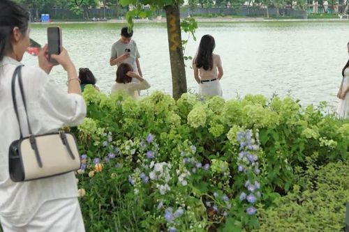 Những khoảng xanh quý giá giữa lòng đô thị