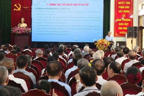 Bồi dưỡng nghiệp vụ, nâng cao chất lượng cán bộ người cao tuổi