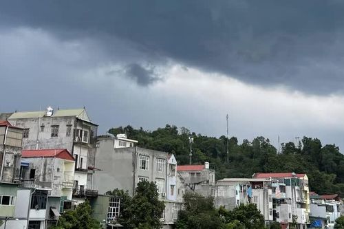 Tin gió mùa Đông Bắc