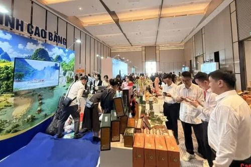 Cao Bằng quảng bá sản phẩm OCOP qua chương trình kết nối giao thương giữa các hệ thống phân phối hiện đại tại tỉnh Nghệ An