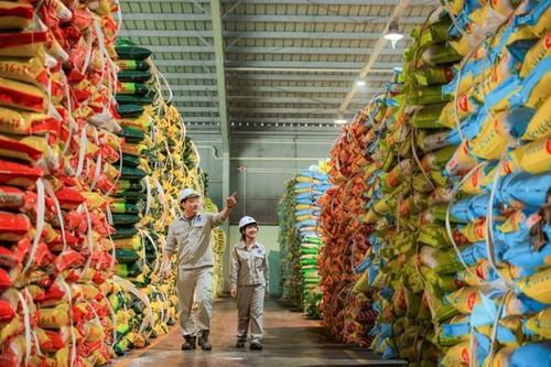 PVFCCo - Phú Mỹ: Tập trung đa dạng hóa sản phẩm, mở rộng thị trường quốc tế