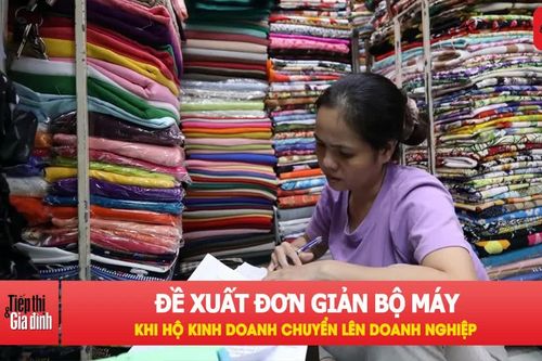 Doanh nghiệp siêu nhỏ có thể không cần chủ tịch, kế toán trưởng