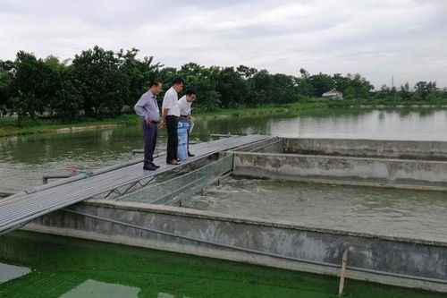 Hà Nội: Diện tích nuôi trồng thủy sản sau 8 tháng đạt 23.000ha