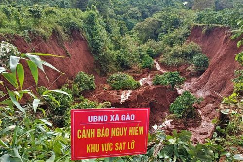 Sạt lở đồi sau mưa lớn vùi lấp nhiều rẫy cà phê, hoa màu ở Gia Lai