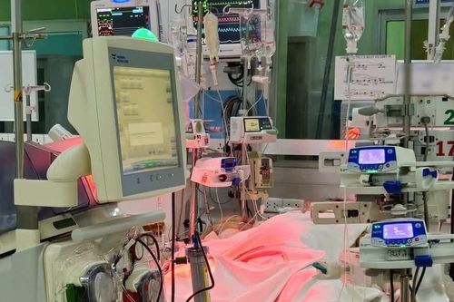 Hai người trẻ nguy kịch vì sốt xuất huyết, chi phí điều trị tiền tỷ