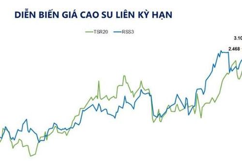 Dầu Brent và cao su tăng giá, MXV-Index lên 2.981 điểm