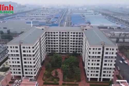 Đã có sổ hồng nhà ở xã hội nhưng chưa đủ 5 năm, có được cho thuê lại?