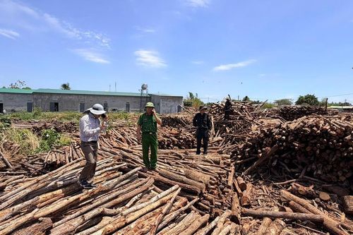 Lộ đường dây 'mở đường' cho gỗ lậu qua chốt rừng ở Đắk Lắk