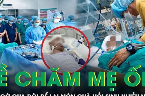 Về chăm mẹ ốm, chàng trai trẻ bất ngờ qua đời, hiến tạng cứu nhiều người