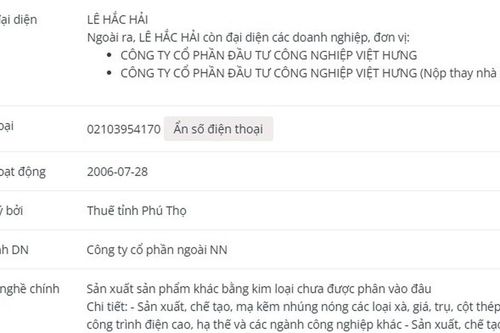 Công ty Cổ phần Việt Vương vi phạm chứng khoán