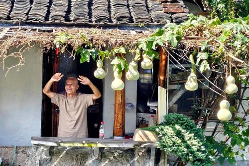 Khách ùn ùn kéo đến, gia chủ chặt bỏ cây bầu nổi tiếng ở Trung Quốc