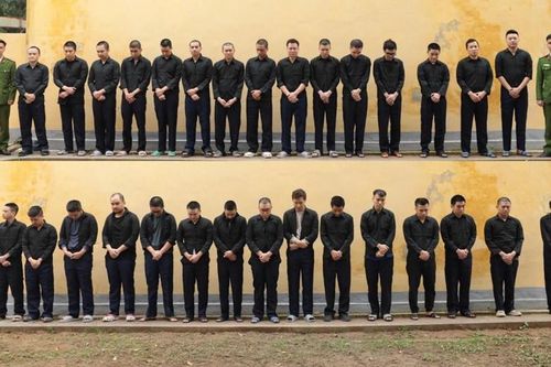 Xôi Lạc TV:Bóng đá 'miễn phí' và dòng tiền hơn 130 tỉ đồng từ quảng cáo cờ bạc