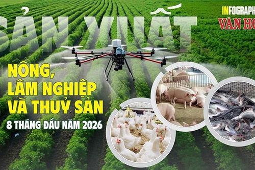 6,95 triệu tấn thủy sản sau 8 tháng, nông nghiệp phân hóa