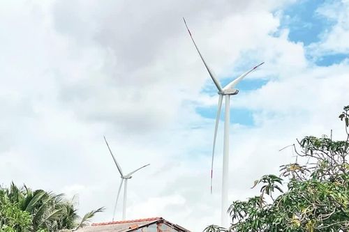 Vĩnh Long: Cuộc sống đảo lộn vì tiếng ồn từ dự án điện gió