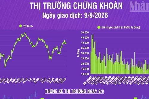 [Infographic] Chứng khoán ngày 9/9: VN-Index giảm 3,32 điểm về mức 1.827,12 điểm, trên hỗ trợ tâm lý 1.800 điểm