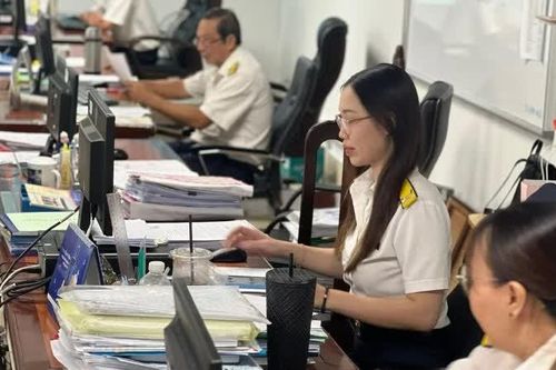 Làm sạch mã số thuế, phản ánh đúng trạng thái doanh nghiệp