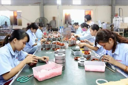 Làm sạch mã số thuế, chặn doanh nghiệp 'ảo'