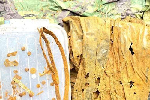 Đà Nẵng phát hiện hài cốt liệt sĩ cùng nhiều di vật tại xã Trà Giáp