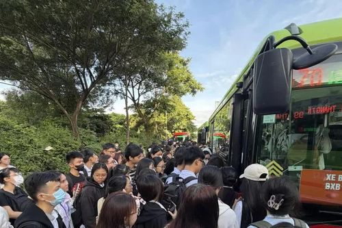 Tin vui cho sinh viên Đại học Quốc gia TPHCM đi học bằng xe buýt