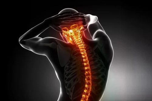 Phát hiện ra một tín hiệu miễn dịch giúp tái tạo tủy sống