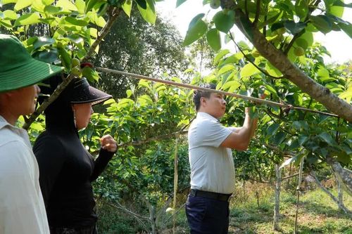 Đào tạo nghề gắn với sinh kế bền vững ở vùng cao Tả Lèng