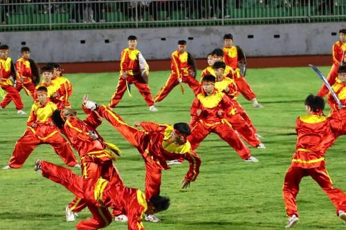 Hơn 3.000 vận động viên tranh tài tại Đại hội Thể dục thể thao Gia Lai