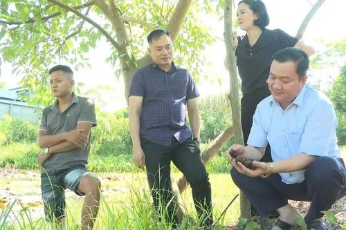 Khi người dân tự làm chủ sinh kế