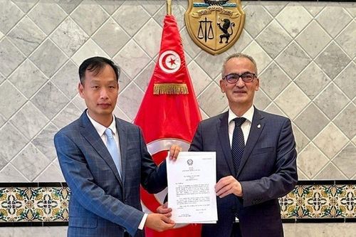 Thúc đẩy quan hệ Việt Nam - Tunisia hướng tới hợp tác thiết thực, hiệu quả