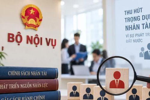 Rà soát, hoàn thiện chính sách thu hút và trọng dụng nhân tài