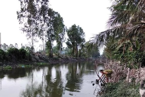 Cà Mau: Chủ động ứng phó hạn hán, xâm nhập mặn do ảnh hưởng El Nino