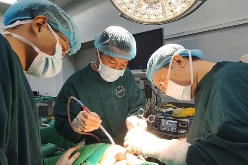 Sốt 40 độ, ho đờm hôi, phát hiện ổ áp xe phổi 15 cm do rò đại tràng