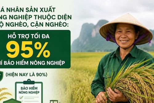 Hộ nghèo, cận nghèo được hỗ trợ tới 95% phí bảo hiểm nông nghiệp