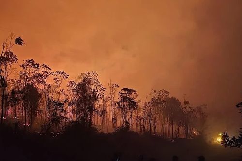 Khí thải cháy rừng Indonesia đạt gần 20 triệu tấn, cao nhất thế giới