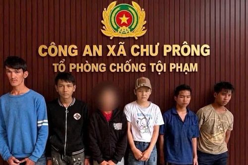 Gia Lai: Tạm giữ hình sự nhóm thanh thiếu niên giàn cảnh, dùng vũ lực cướp điện thoại của cụ ông