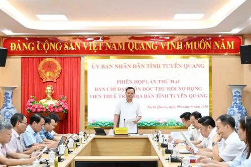 Tuyên Quang đặt mục tiêu giảm thêm 200 tỷ đồng nợ thuế trong những tháng cuối năm