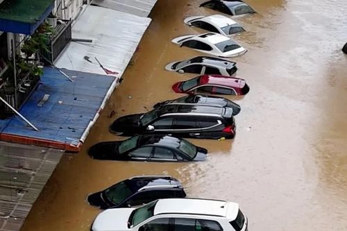 Sắp đấu giá lô xe ô tô bị ngập nước qua nóc, giá từ 2,02 tỷ đồng