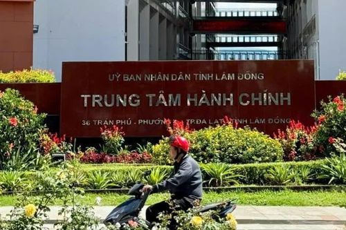 Sai sót thực hiện Nghị định 178: Lâm Đồng chỉ rõ trách nhiệm 3 nguyên lãnh đạo
