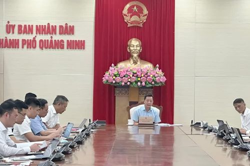 Tập trung tháo gỡ mặt bằng, bảo đảm tiến độ các dự án truyền tải điện tại Quảng Ninh